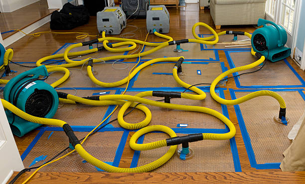 Professional Burst Pipe Water Damage technician working in Prescott, WI